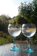 16th May 2014 - G&T in the sun..... 