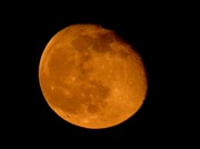 16th May 2014 - Muskmelon Moon
