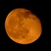 Muskmelon Moon by grammyn