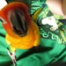 Giant parrot eats camera... by alia_801
