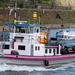 20140514 Pilot boat on the Rhine by essafel