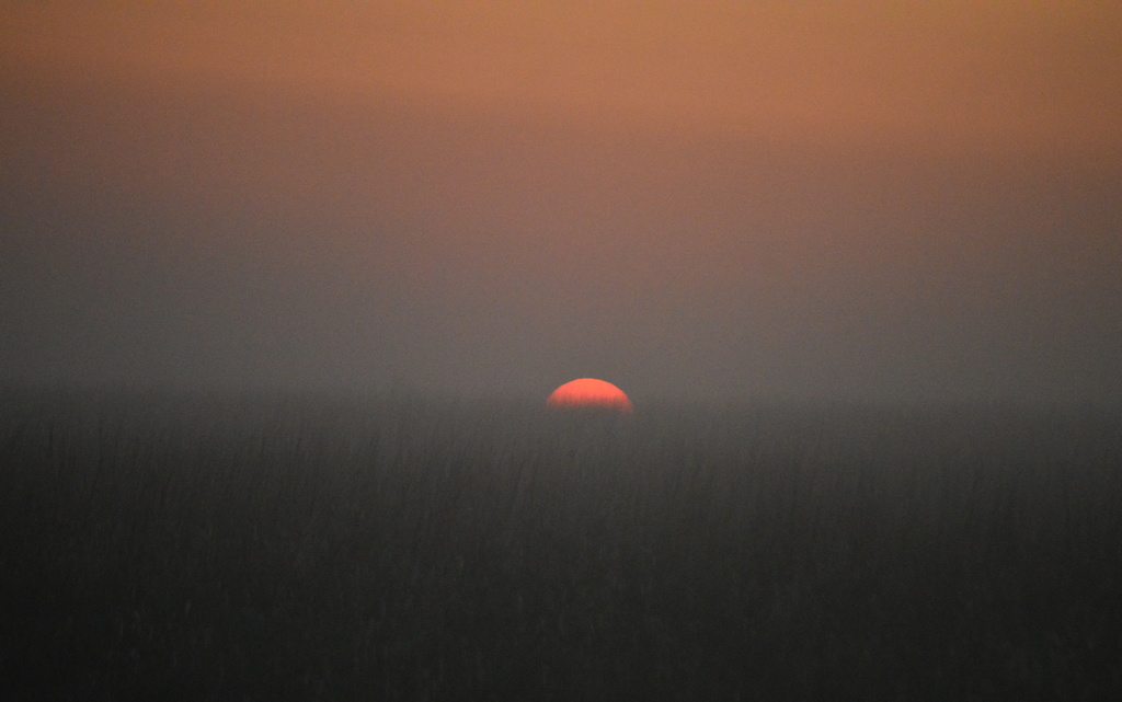 Good Morning, Kansas by kareenking