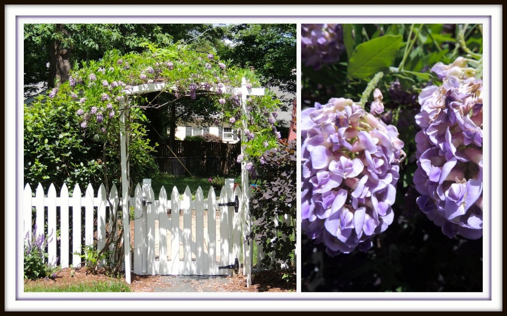 A Well-Decorated Arbor by allie912