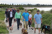18th May 2014 - RSPCA Million paws walk