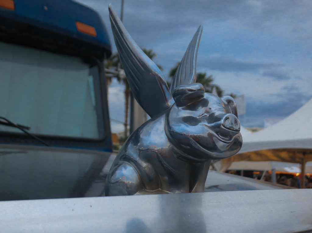 Hood Ornament by stray_shooter