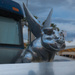 Hood Ornament by stray_shooter