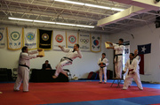 17th May 2014 - Taekwondo