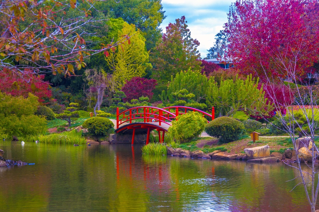 Japanese Gardens, Toowoomba by corymbia
