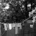 A good washing day.  by newbank