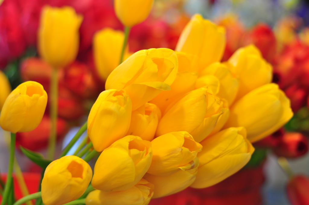 Market Flowers by mamabec