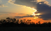 19th May 2014 - Warmth Of The Evening Sun