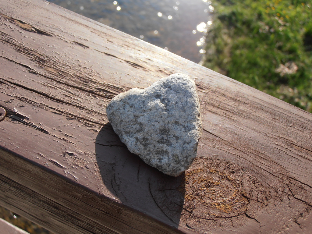 Heart Rock by julie
