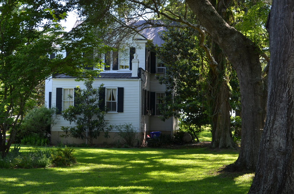 Old Village, Mount Pleasant, SC by congaree