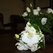 wedding flowers by belucha