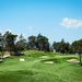 Day 136, Year 2 - The 6th Green, PGA Catalunya Resort by stevecameras