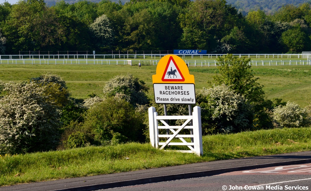 Beware Horses  by motorsports