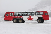 19th May 2014 - On the Athabasca Glacier
