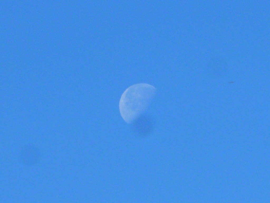 Moon at noon by gabis