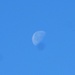 Moon at noon by gabis