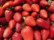 12th May 2014 - Strawberries