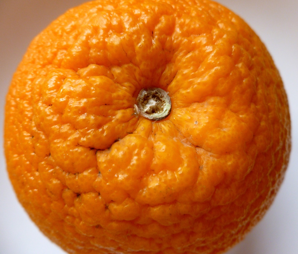 Orange :) by gabis