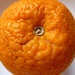 Orange :) by gabis