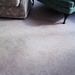 Carpet cleaning by jennymdennis