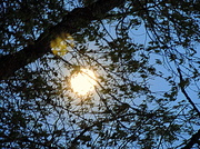 12th May 2014 - Full moon at dusk!