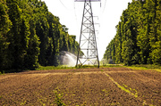 20th May 2014 - Watering Power Tower