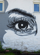 20th May 2014 - "Eye" see you...