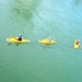 3 little ducks on the Rhine by cocobella