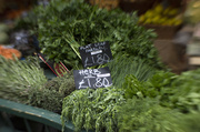 21st May 2014 - Herbs - Borough Market