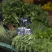 Herbs - Borough Market by bizziebeeme