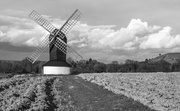 21st May 2014 - Windmill in black and white