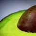 Day 141:  Avocado by sheilalorson