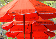 14th May 2014 - Orange Umbrellas