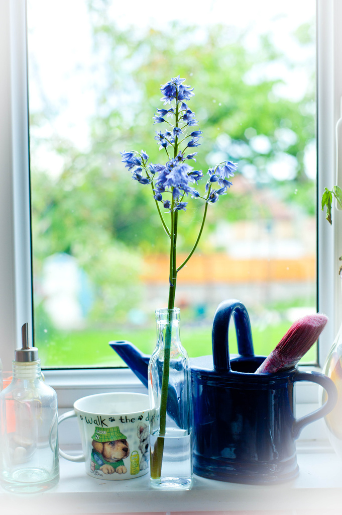 Window ledge by tracybeautychick