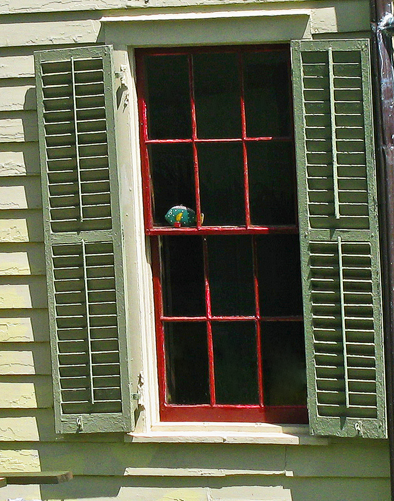 Window with a Fish by april16