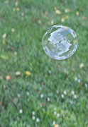 22nd May 2014 - Bubble in the wind