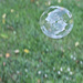 Bubble in the wind by randystreat