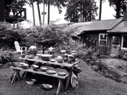 21st May 2014 - Pottery Garden