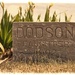 Dodson tombstone by khrunner