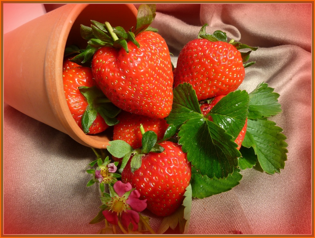 Motivate-4-May. Strawberries.Fruity Feast by wendyfrost