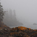 The Foggy Coastline by tosee