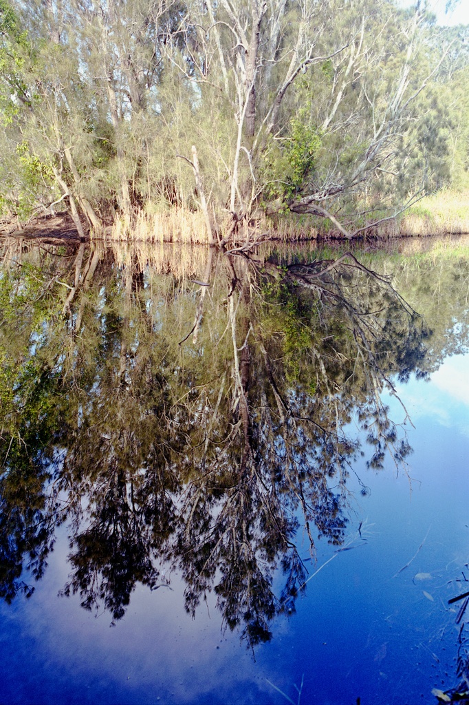 Minnamurra reflections by peterdegraaff