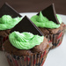Peppermint Double Choc Chip Cup Cakes by bizziebeeme