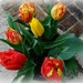 That pot of tulips in colour! by quietpurplehaze