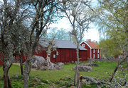 9th May 2014 - Swedish Farm 003