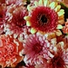 Flowers by leestevo
