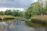 24th May 2014 - Old Lyme river view
